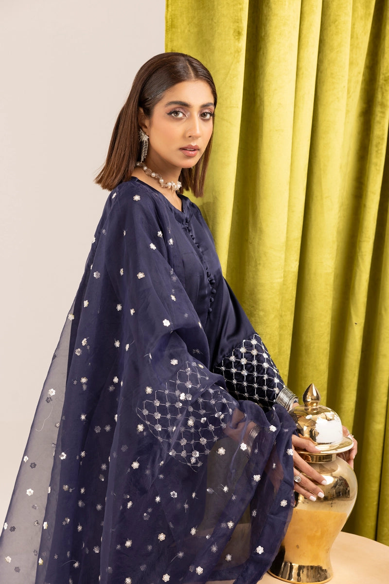 Raw Silk Blue Farshi Salwar Suit – Only Made on Demand main image 1