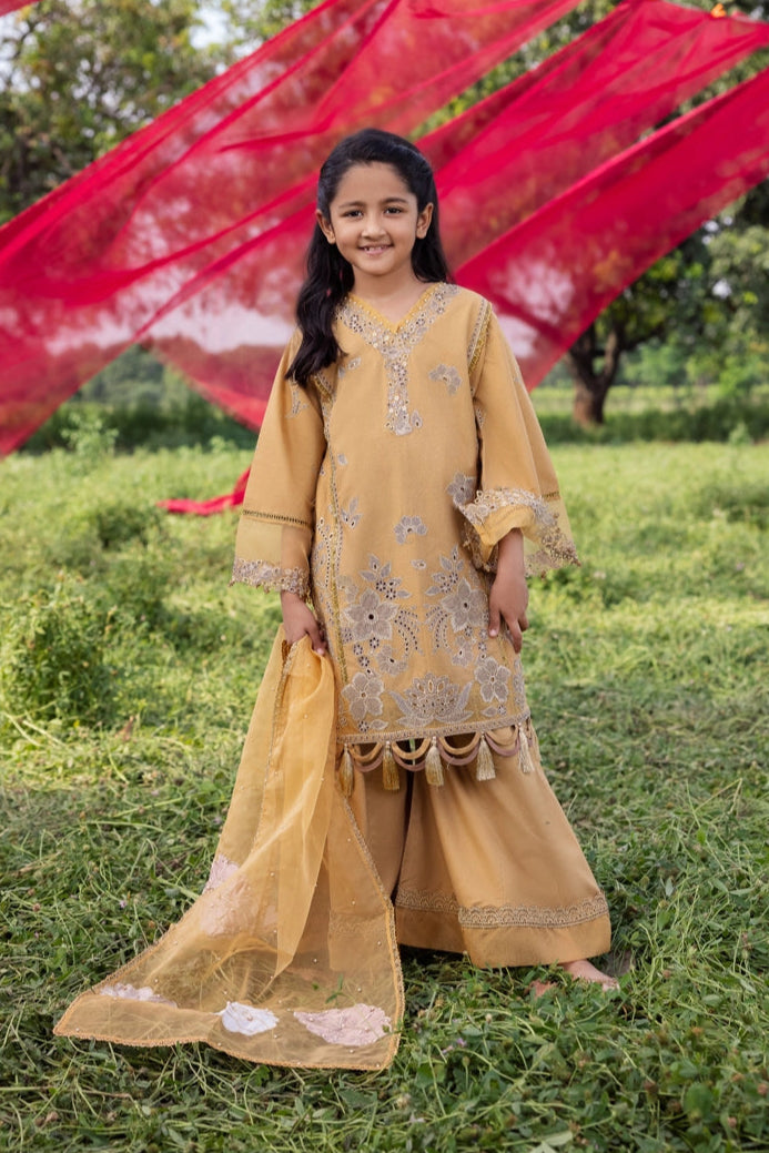 Ayeza khan Heer Mummy & Me Girls Chikan Embroidered Eid Outfit AL1027K