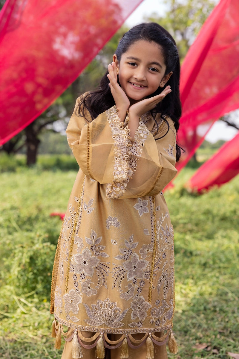Ayeza khan Heer Mummy & Me Girls Chikan Embroidered Eid Outfit AL1027K