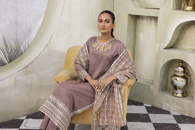 Nakhra 3 Piece Mocha Brown Suit with Embroidered Net Dupatta - Desi Posh