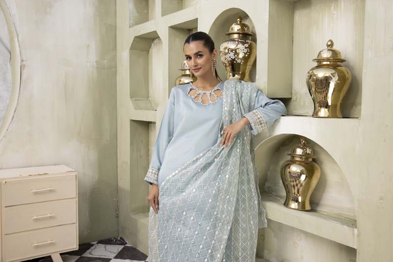 Nakhra 3 Piece Blue Suit with Embroidered Net Dupatta - Desi Posh