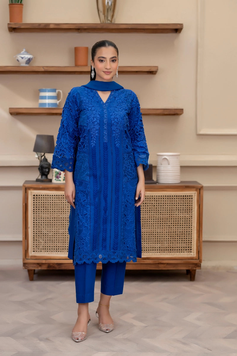Maria B Inspired Ladies Blue Chikan Kari Mummy & Me Eid Outfit - Desi Posh
