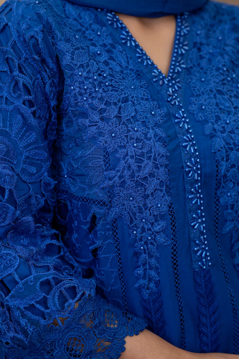 Maria B Inspired Ladies Blue Chikan Kari Mummy & Me Eid Outfit - Desi Posh