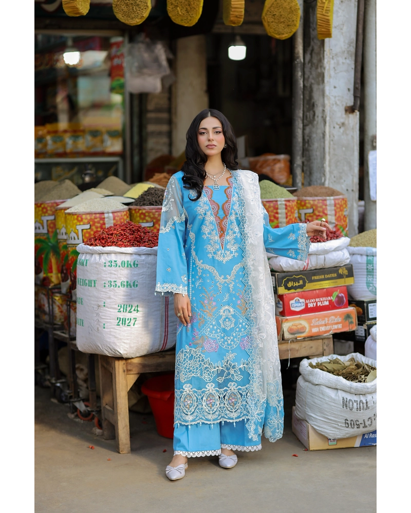Ally's Mummy & Me Ladies Chikan Kari Eid Outfit AL984