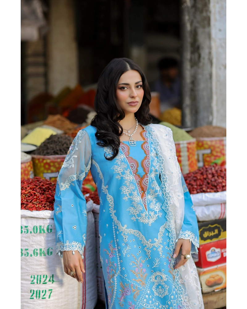 Ally's Mummy & Me Ladies Chikan Kari Eid Outfit AL984