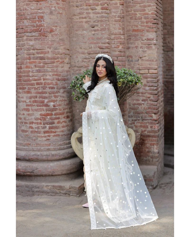 Ally's Mummy & Me Ladies Chikan Kari Eid Outfit AL983
