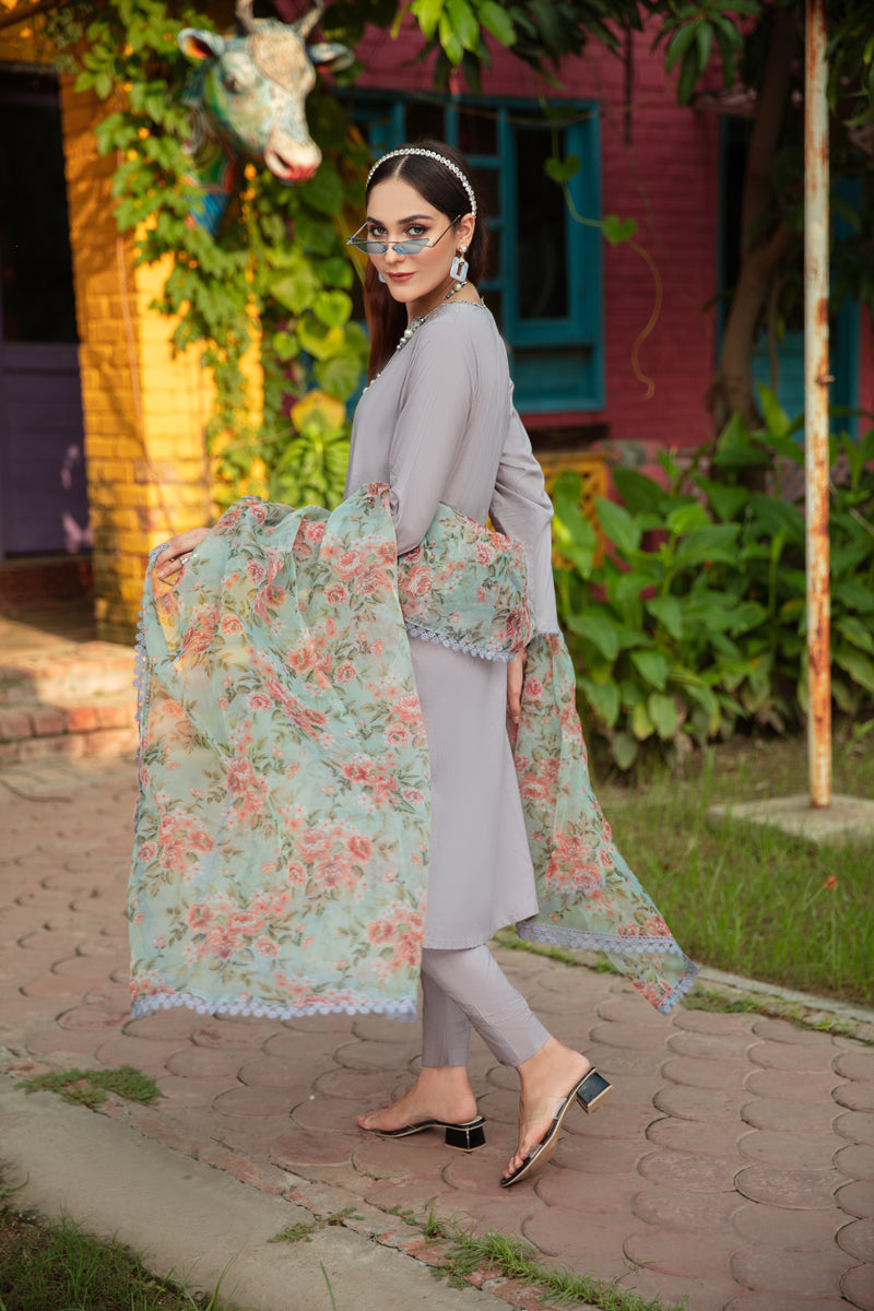 Nakhra 3 Piece Lawn Suit with Net Dupatta DC01 - Desi Posh