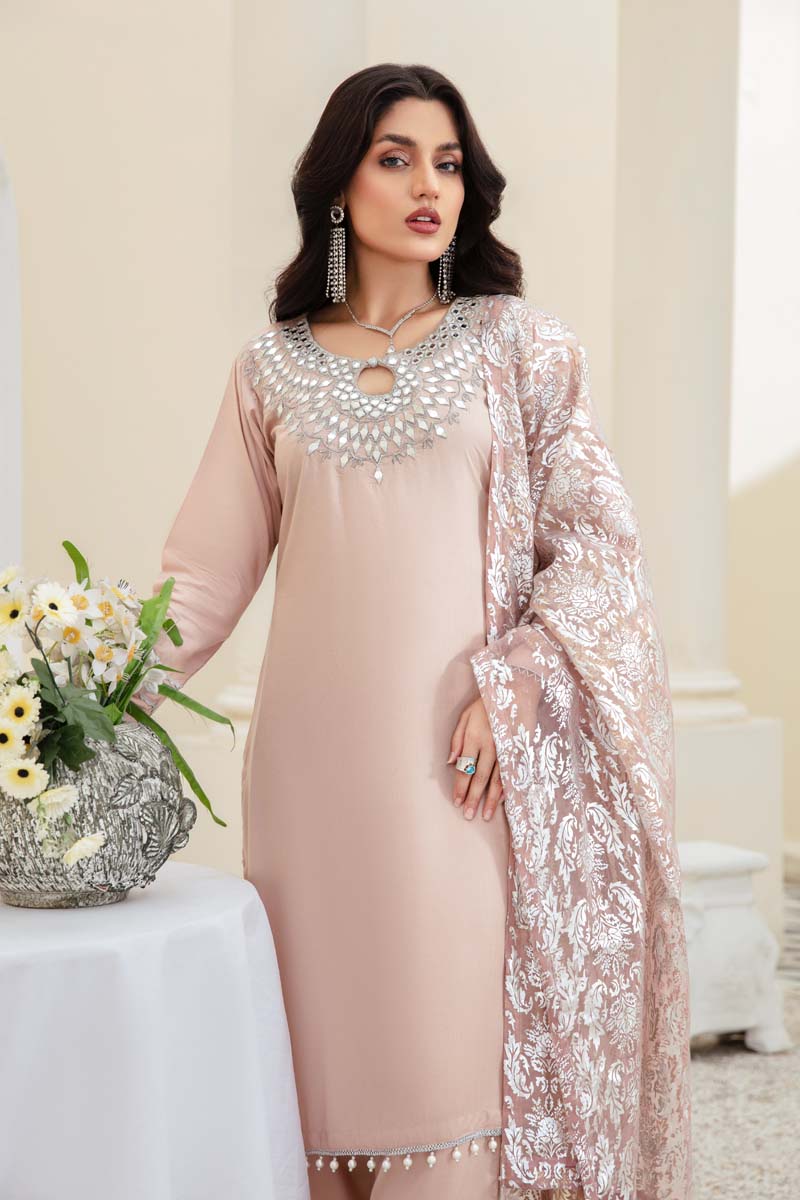Desi Posh Pastels Mirror Embroidered suit Light Peach With Net Dupatta - Desi Posh