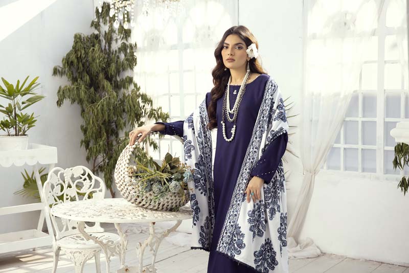 Reet Dhanak 3 Piece Winter Outfit With Embroidered Shawl 945 - Desi Posh