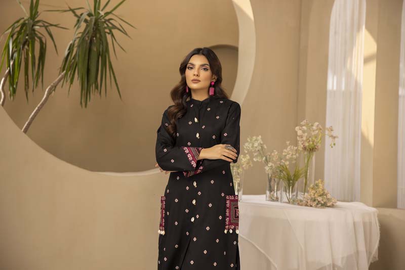 Dhanak Fully Embroidered 2 Piece Co-ord Set in Black - Desi Posh