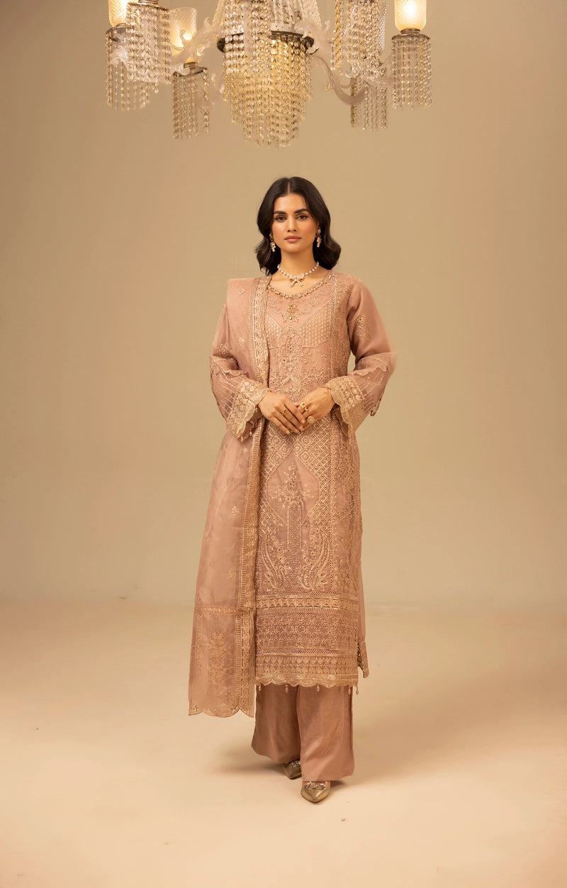 Qalamkar Premium Inspired Embroidered 3 Piece Organza Wedding Outfit Pastel - Desi Posh