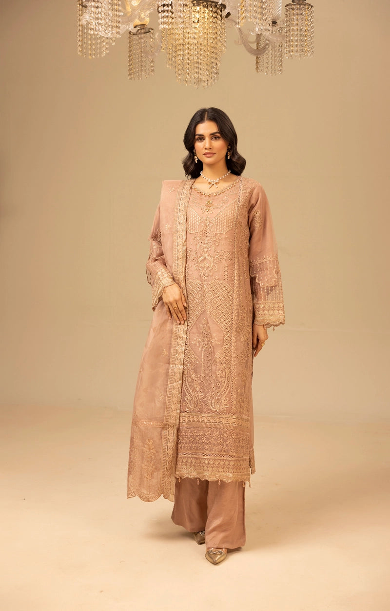 Qalamkar Premium Inspired Embroidered 3 Piece Organza Wedding Outfit Pastel - Desi Posh