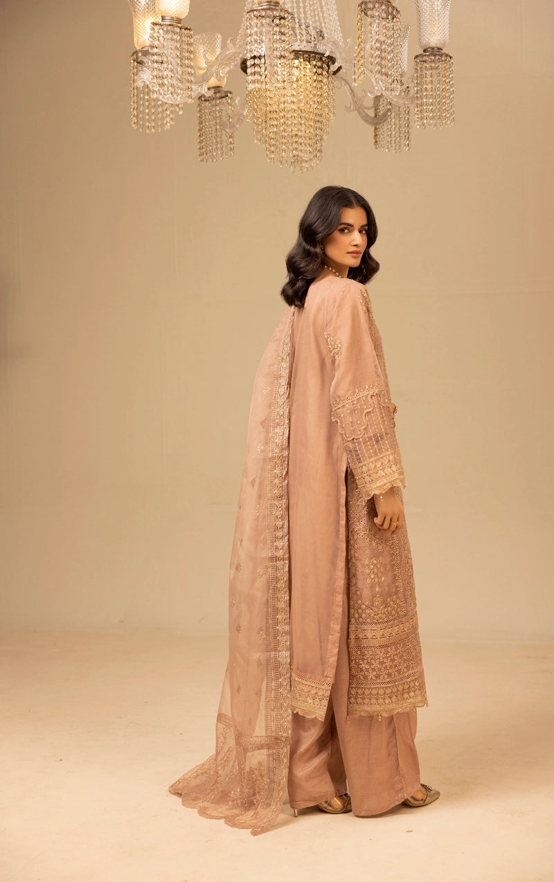 Qalamkar Premium Inspired Embroidered 3 Piece Organza Wedding Outfit Pastel - Desi Posh