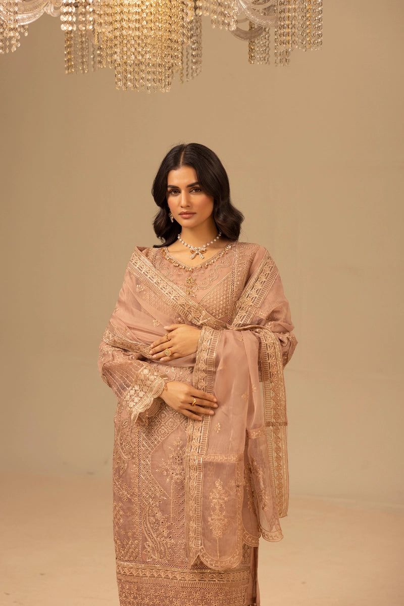 Qalamkar Premium Inspired Embroidered 3 Piece Organza Wedding Outfit Pastel - Desi Posh