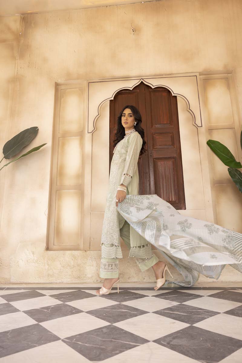Chikan Kari Embroidered 3 Piece Eid Outfit Light Mint Al605 - Desi Posh