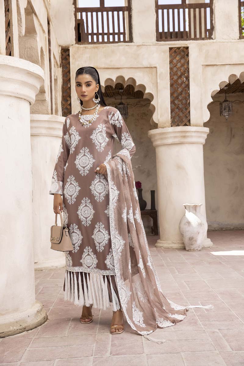 Chand Brown Ladies 3 Piece Suit With Embroidered Dupatta - Desi Posh