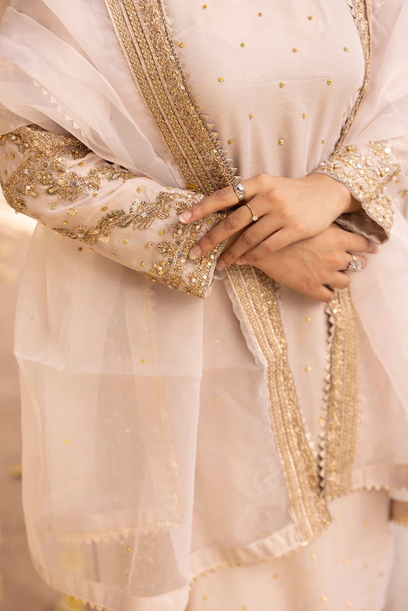 Aliyah Mother & Daughter Skin Ladies Wedding Palazzo Oufit - Desi Posh
