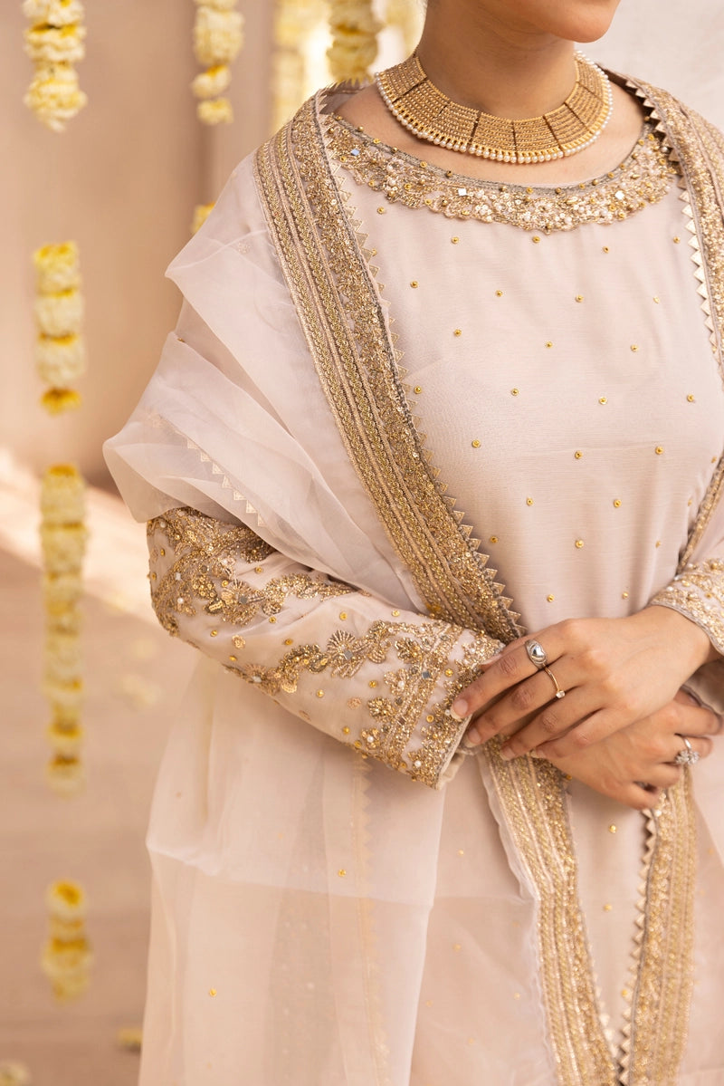 Aliyah Mother & Daughter Skin Ladies Wedding Palazzo Oufit - Desi Posh