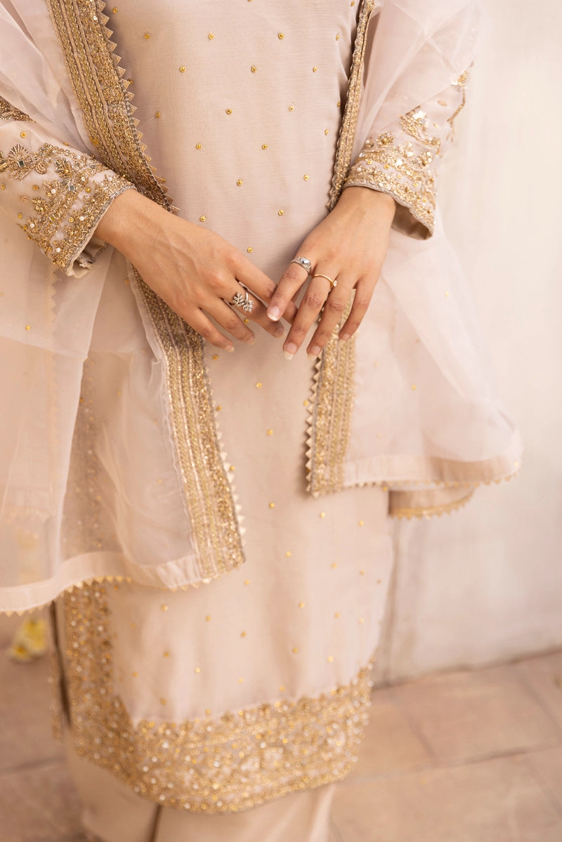 Aliyah Mother & Daughter Skin Ladies Wedding Palazzo Oufit - Desi Posh