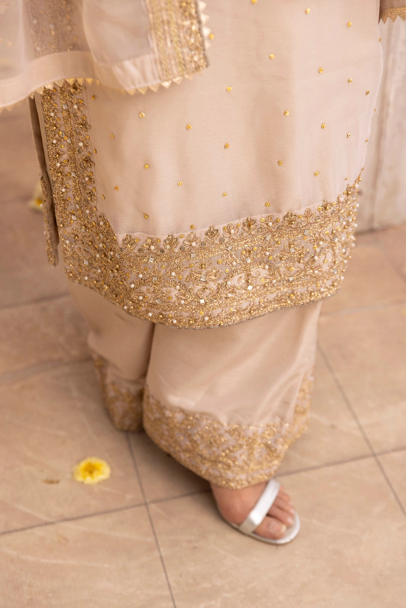 Aliyah Mother & Daughter Skin Ladies Wedding Palazzo Oufit - Desi Posh