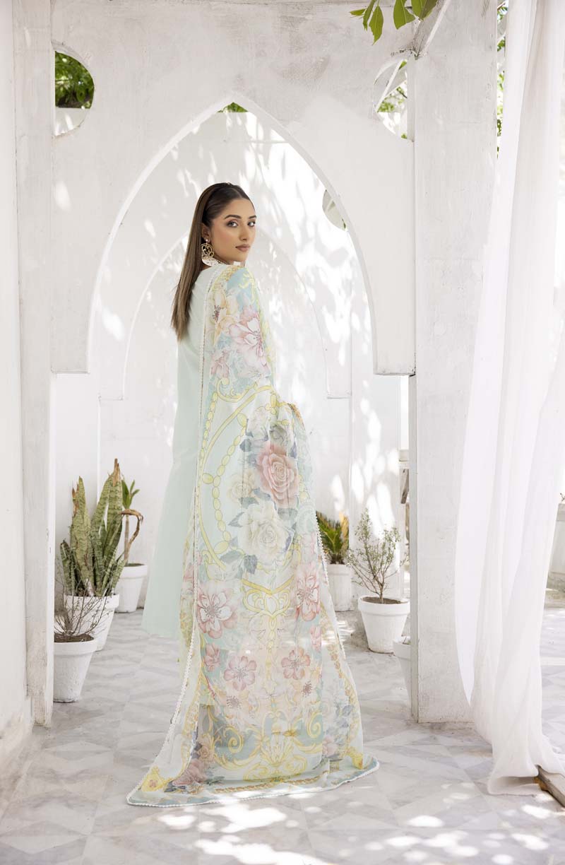 Image Chikan Kari Luxe 3 Piece Cotton Summer Outfit Mint - Desi Posh