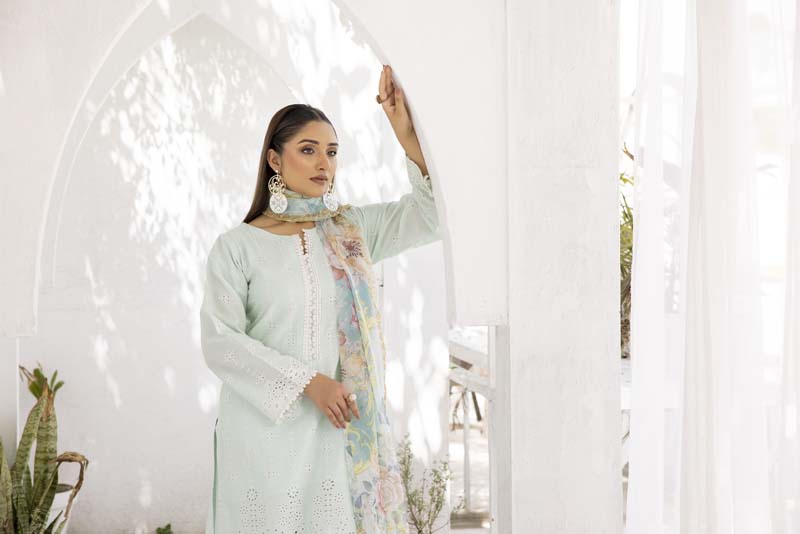 Image Chikan Kari Luxe 3 Piece Cotton Summer Outfit Mint - Desi Posh