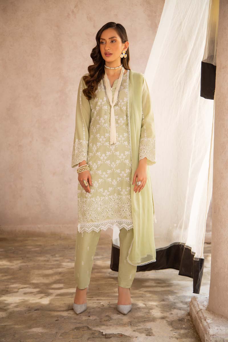 Simrans 3 Piece Chikan Kari Embroidered Light Green Suit - Desi Posh