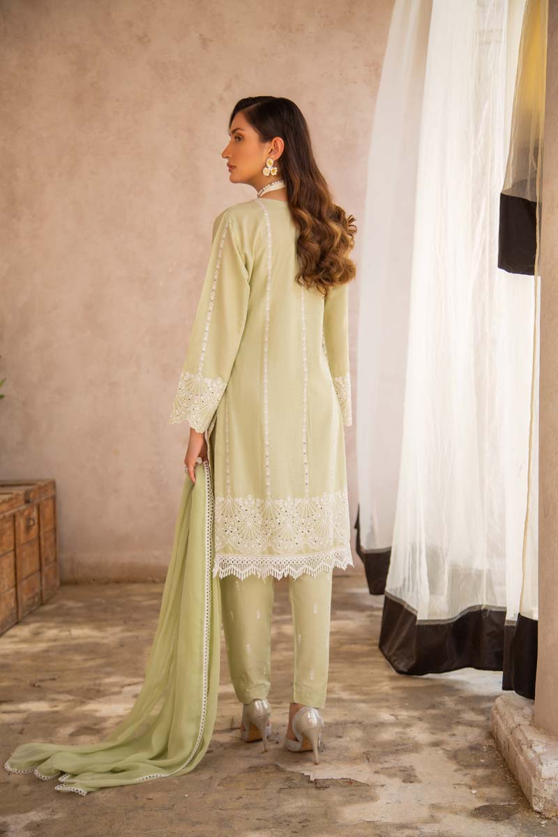 Simrans 3 Piece Chikan Kari Embroidered Light Green Suit - Desi Posh