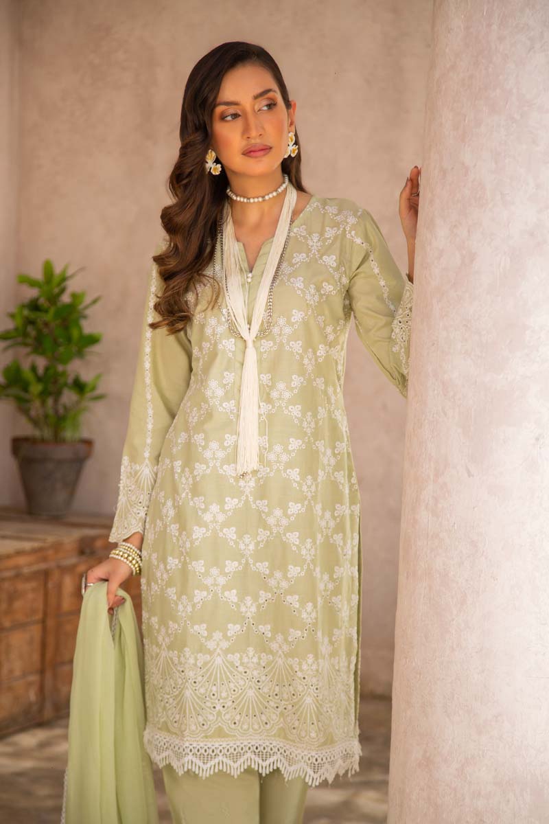 Simrans 3 Piece Chikan Kari Embroidered Light Green Suit - Desi Posh