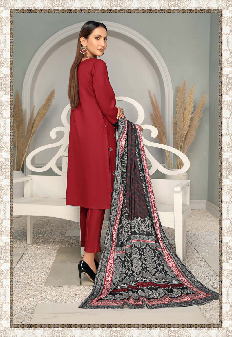 Alpine Embroidered 3 Piece Winter Outfit With Shawl WS13 - Desi Posh