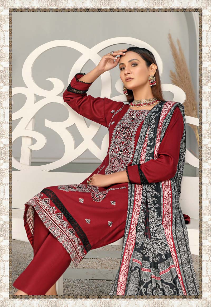 Alpine Embroidered 3 Piece Winter Outfit With Shawl WS13 - Desi Posh