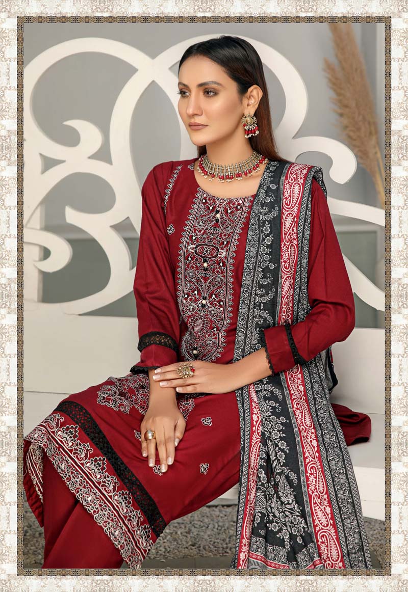Alpine Embroidered 3 Piece Winter Outfit With Shawl WS13 - Desi Posh