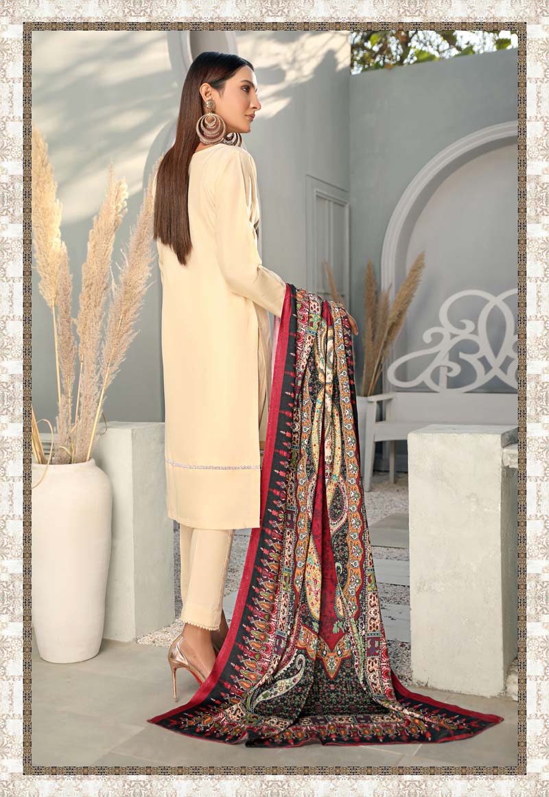 Alpine Embroidered 3 Piece Winter Outfit With Shawl WS12 - Desi Posh