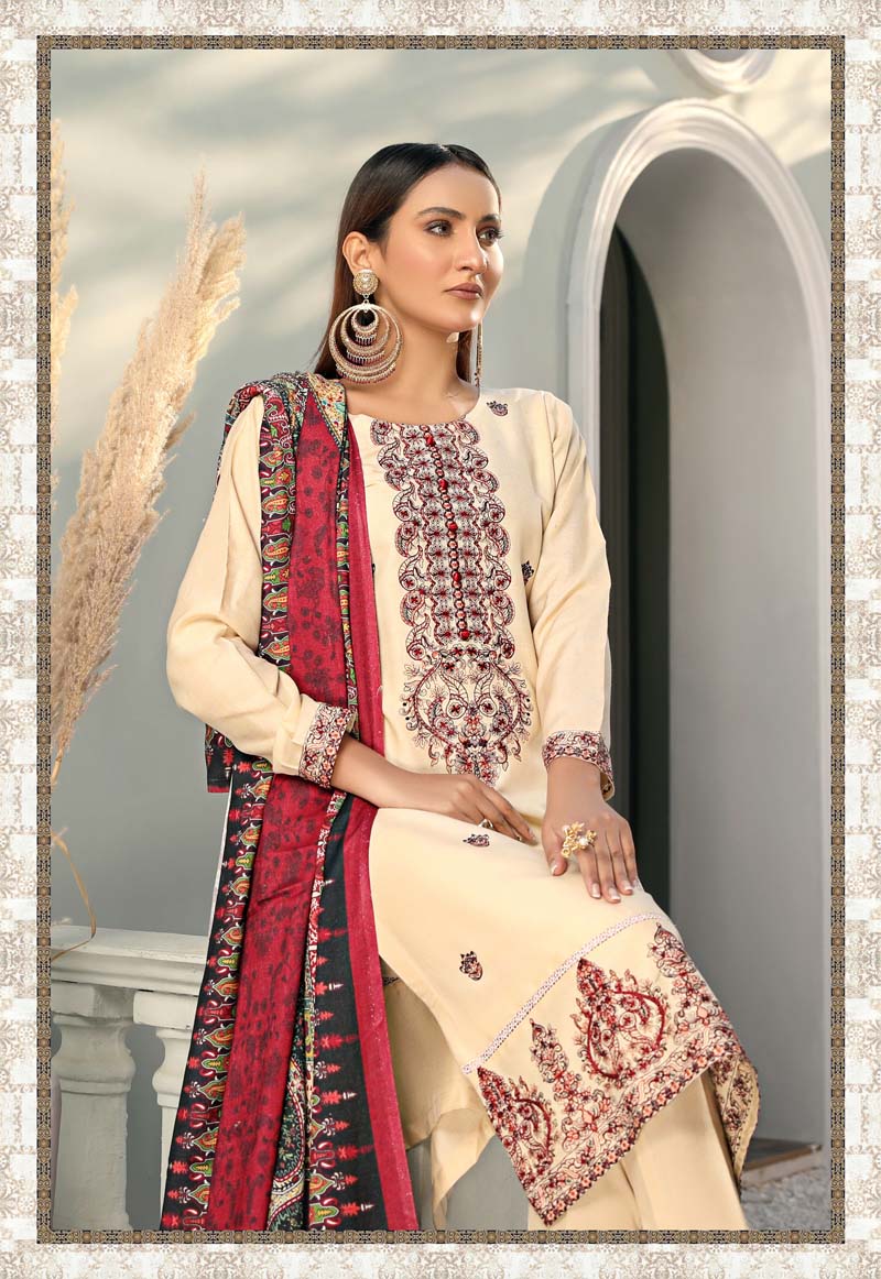 Alpine Embroidered 3 Piece Winter Outfit With Shawl WS12 - Desi Posh