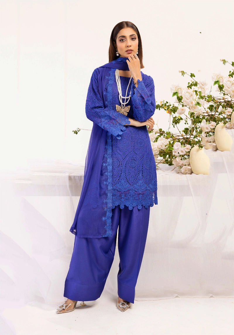 Image Chikan Kari Mummy & Me Ladies Farshi Salwar Eid Outfit Blue - Desi Posh