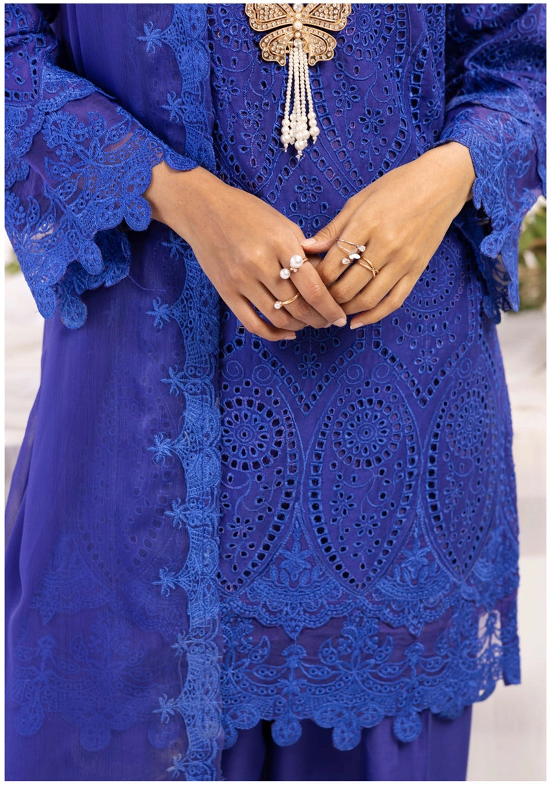 Image Chikan Kari Mummy & Me Ladies Farshi Salwar Eid Outfit Blue - Desi Posh