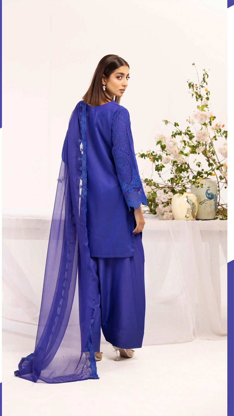 Image Chikan Kari Mummy & Me Ladies Farshi Salwar Eid Outfit Blue - Desi Posh