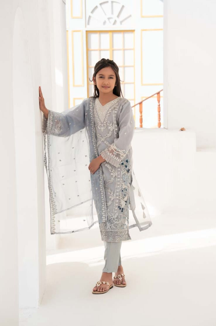 Khoobsurat Mummy & Me Kids Designer Organza Party Grey Outfit - Desi Posh