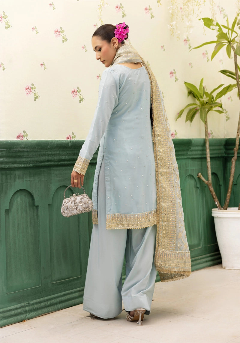 Qalamkar Inspired Embroidered 3 Piece Chiffon Wedding Outfit Powder Blue