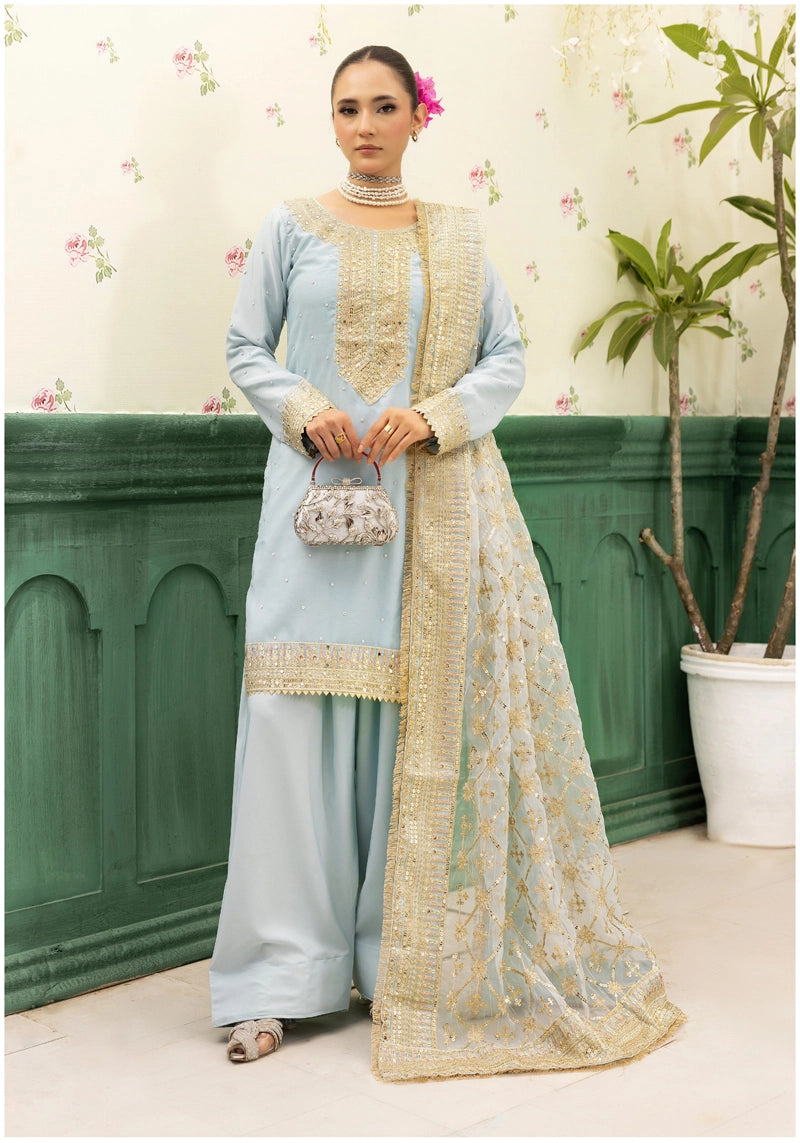 Qalamkar Inspired Embroidered 3 Piece Chiffon Wedding Outfit Powder Blue