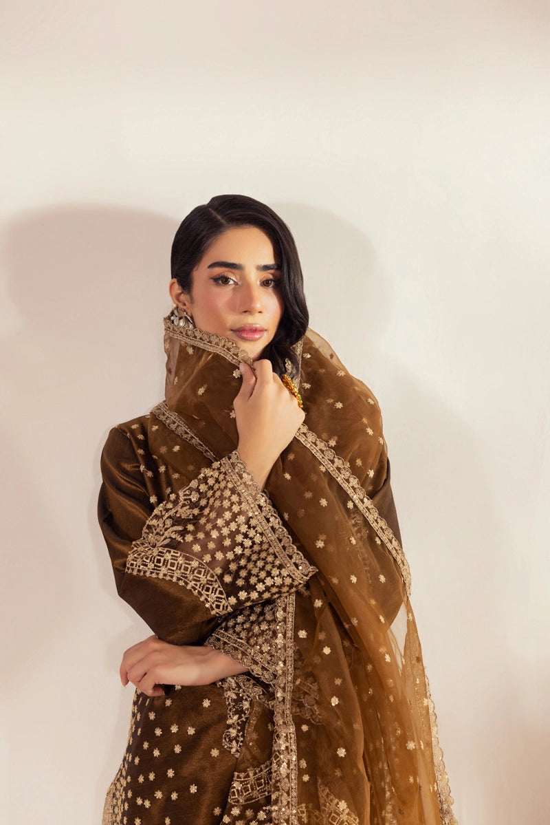 Heer Luxe Premium Raw Silk Eid Collection 3 Piece Suit D1