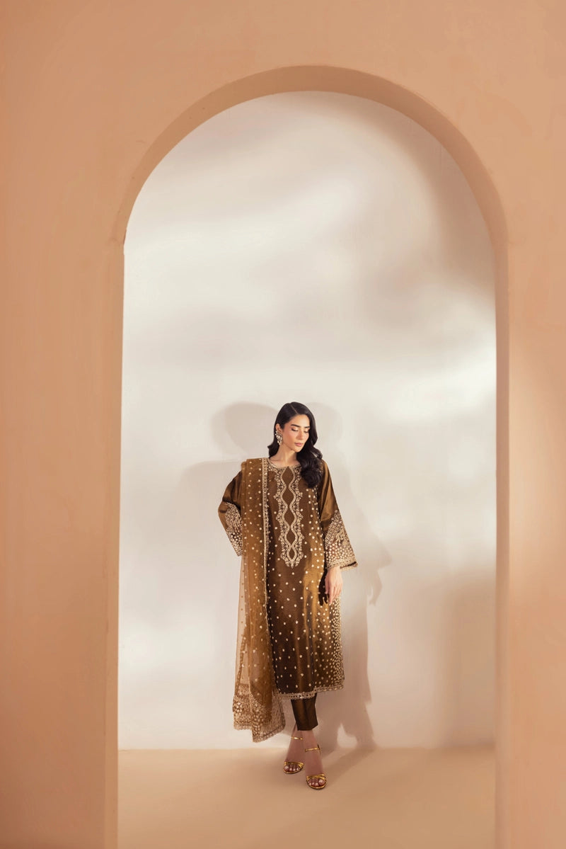 Heer Luxe Premium Raw Silk Eid Collection 3 Piece Suit D1