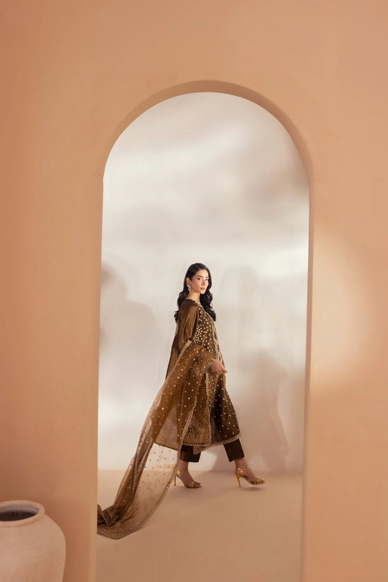 Heer Luxe Premium Raw Silk Eid Collection 3 Piece Suit D1
