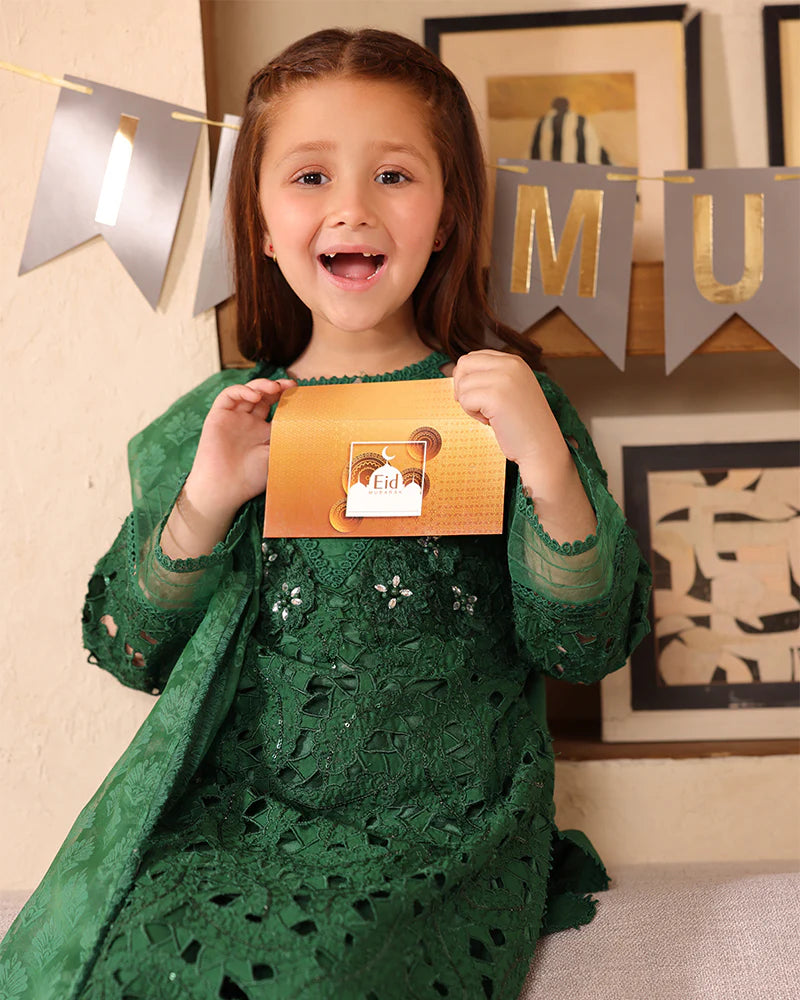 Ally's Mummy & Me Girls Chikan Embroidered Eid Outfit AL987K - Desi Posh