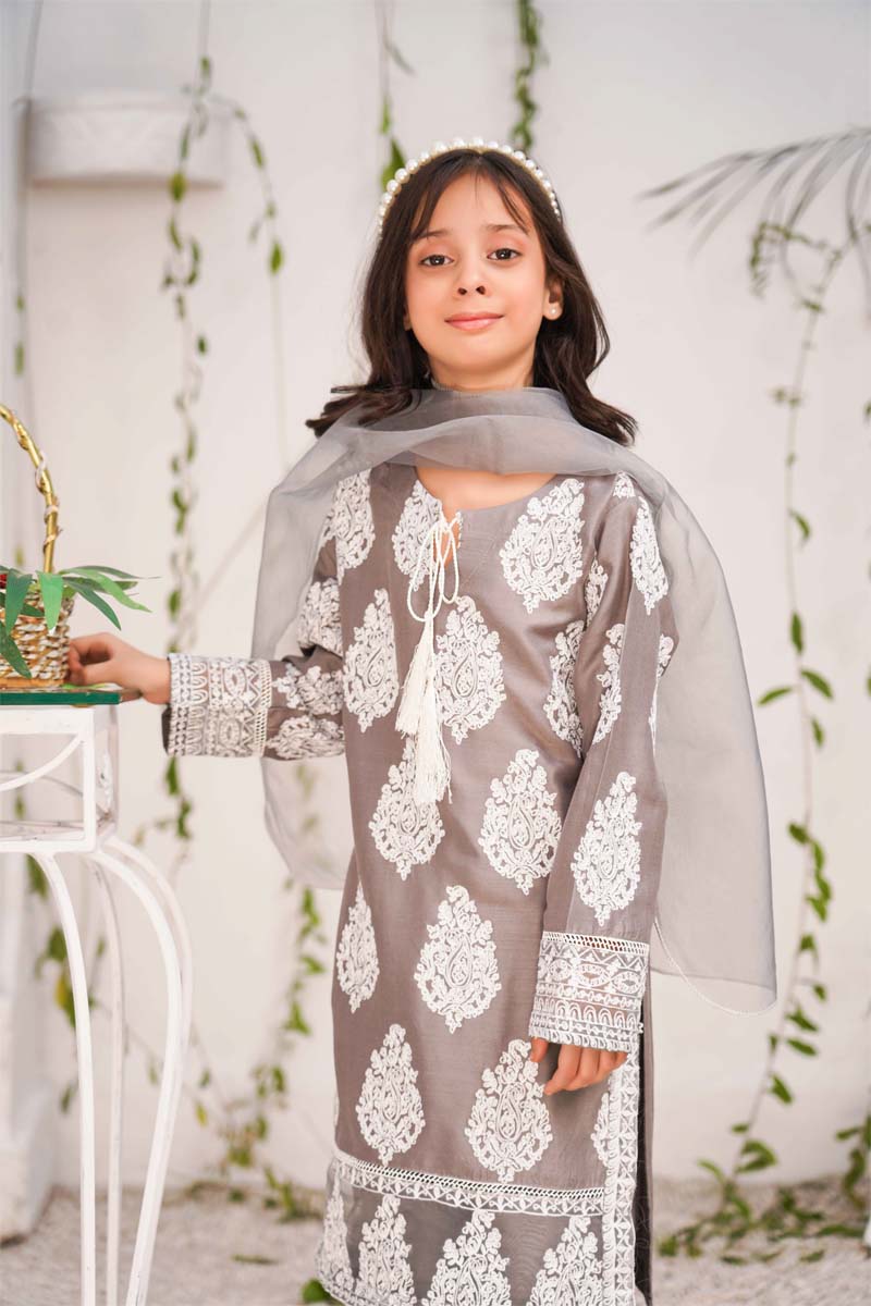 Jannat 2.0 Stone Grey Mummy & Me Girls 3 Piece Suit With Net Dupatta - Desi Posh