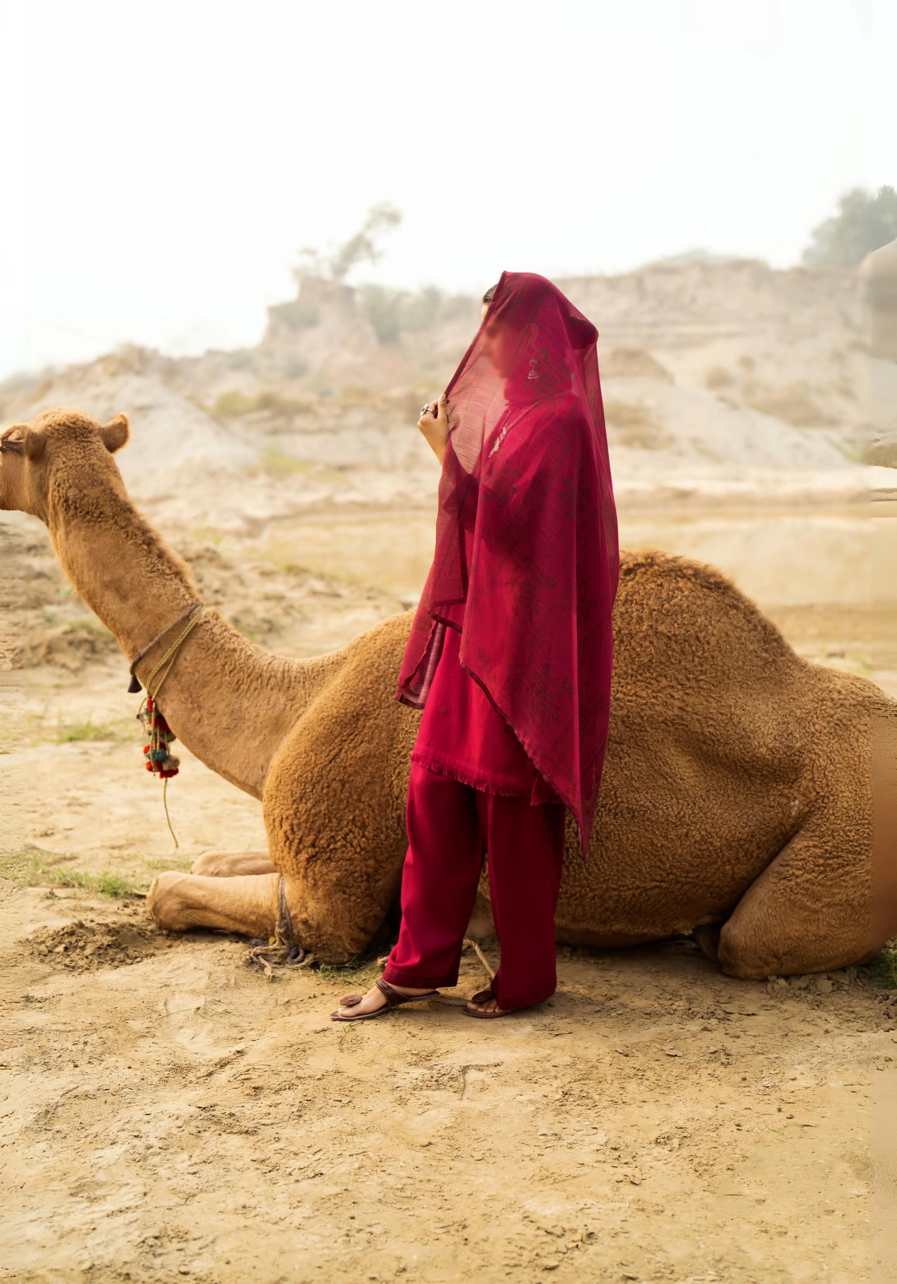 رہگیر Qalb Khaddar Embroidered Suit with Silk Munaar Dupatta - Desi Posh