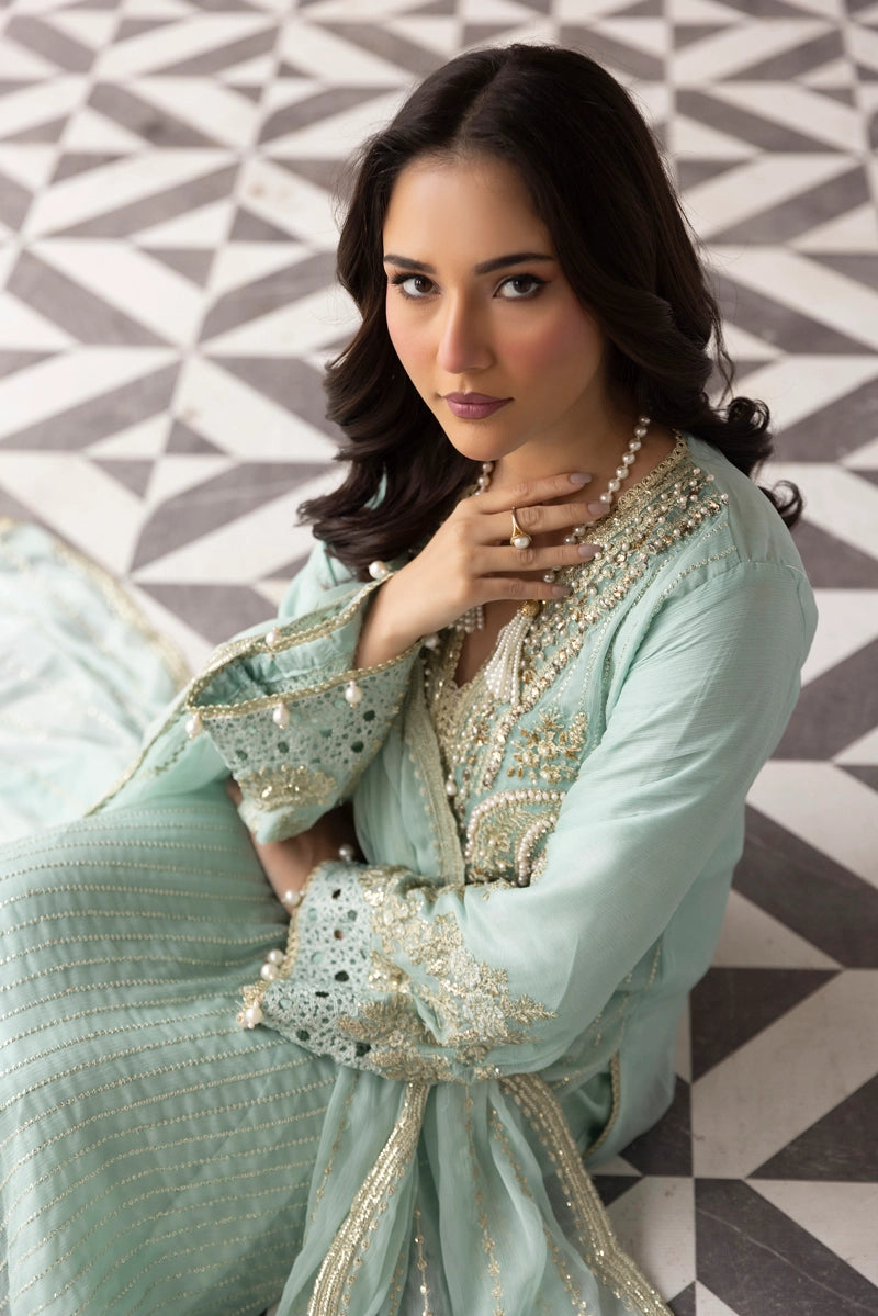 mint green dress pakistani Heavy Embroidered with Handwork Mint Green Organza Dress for Formal &  Wedding Events – Best Price Online in Pakistan