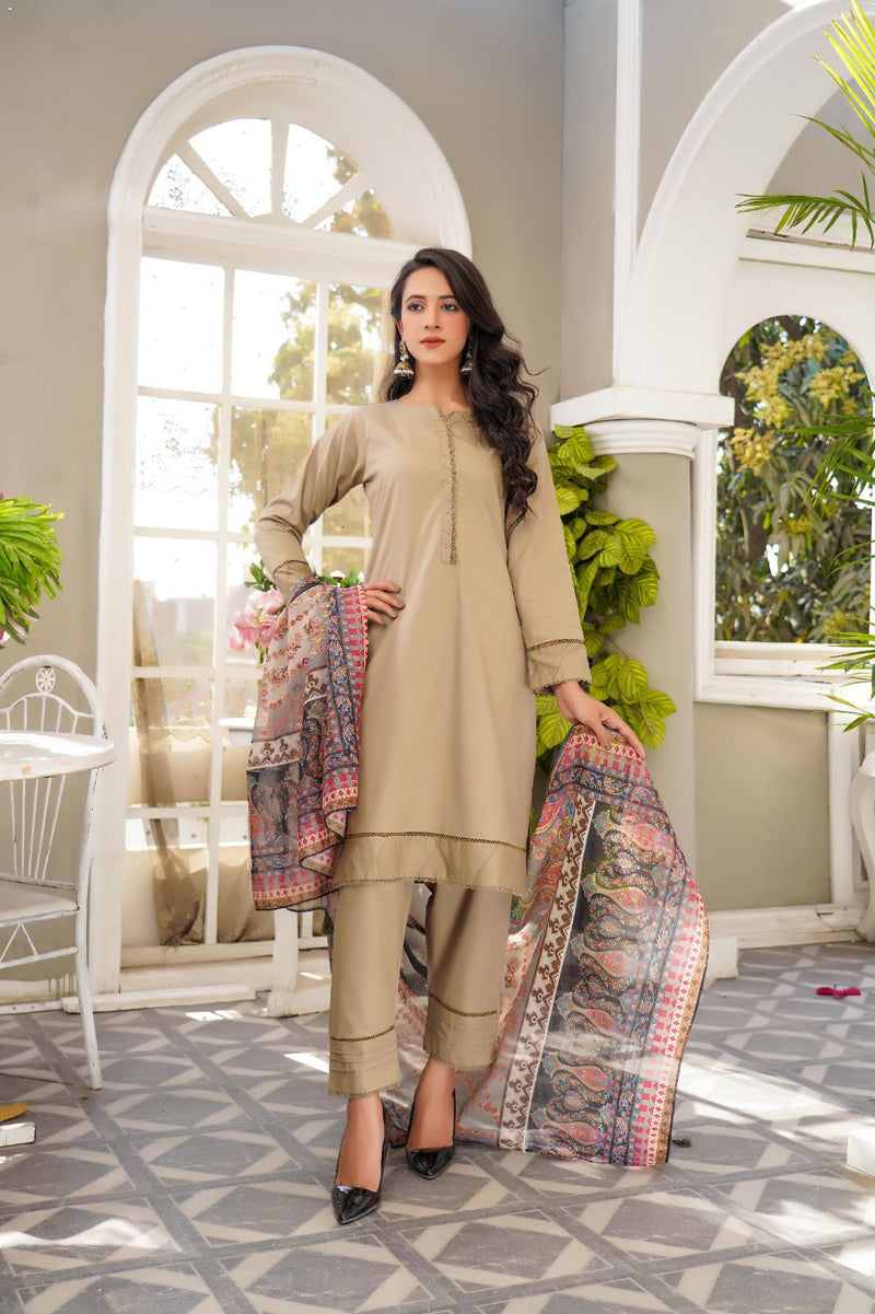 Bin Saeed Light Khaki 3 Piece Suit with Organza Dupatta - Desi Posh