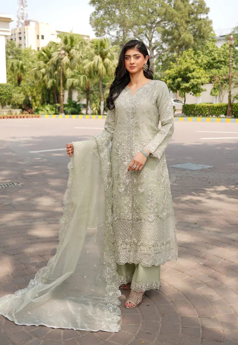 green pakistani wedding dresses Lush – Sage Embroidered Organza Outfit all products