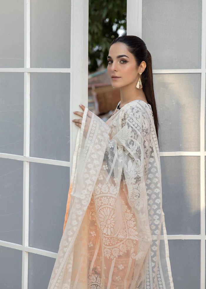 Ladies sales lawn suits